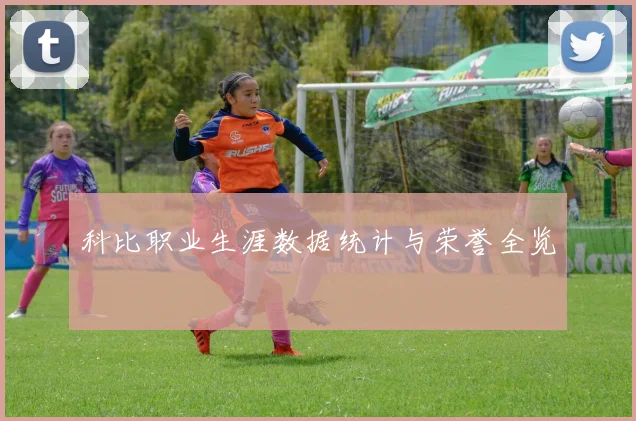 科比职业生涯数据统计与荣誉全览