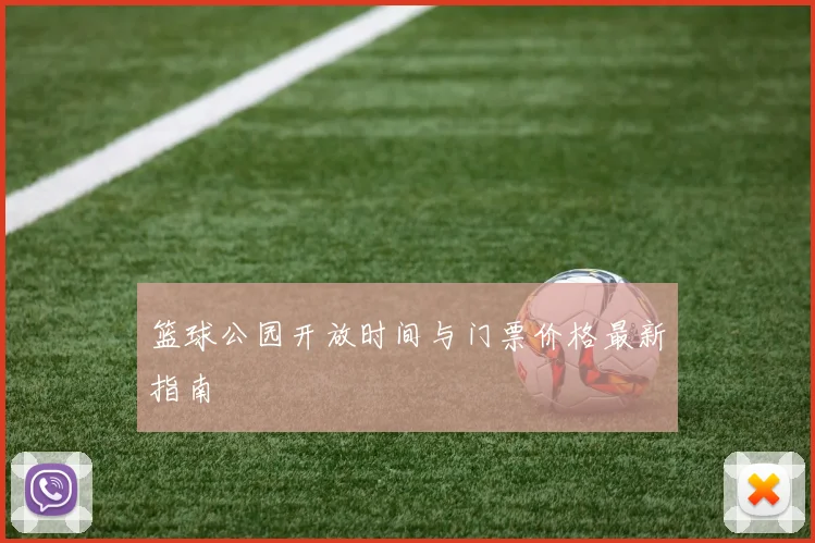 篮球公园开放时间与门票价格最新指南