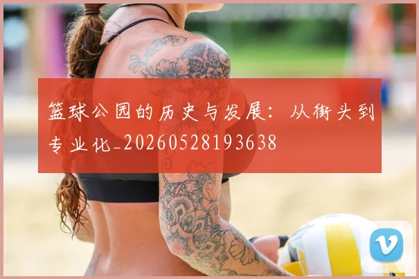篮球公园的历史与发展：从街头到专业化_20260528193638