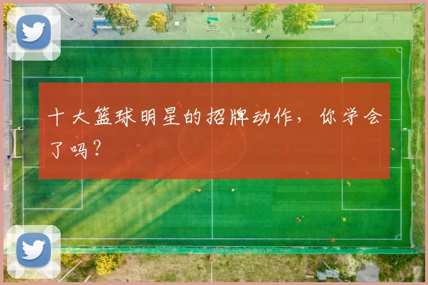十大篮球明星的招牌动作，你学会了吗？