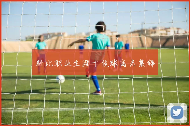 科比职业生涯十佳球高光集锦