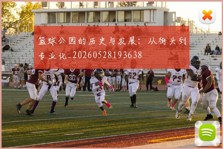 篮球公园的历史与发展:从街头到专业化_20260528193638