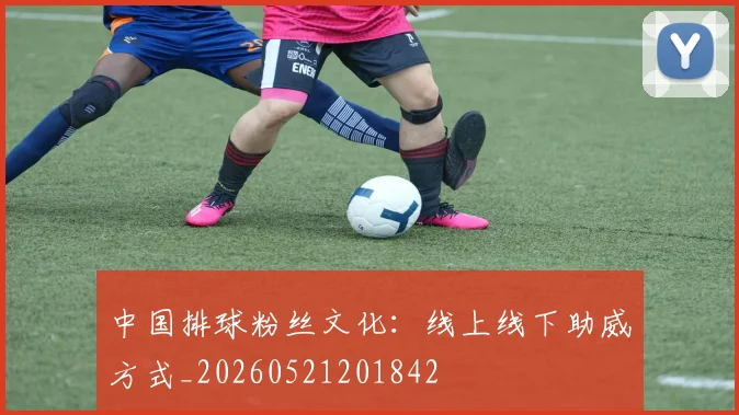 中国排球粉丝文化：线上线下助威方式_20260521201842
